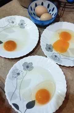 Asli Desi Peshawri Eggs