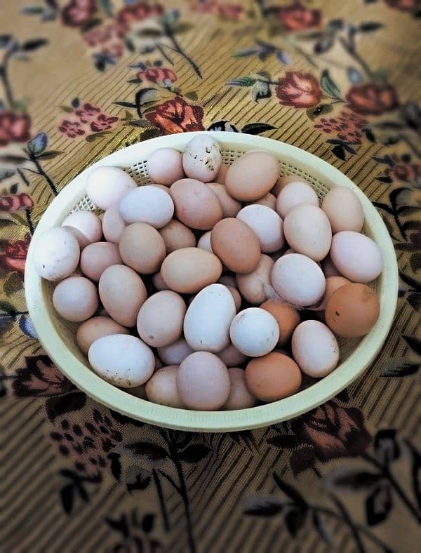 Asli Desi Peshawri Eggs 1