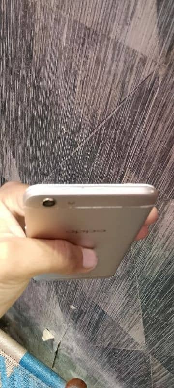 oppo f3 3