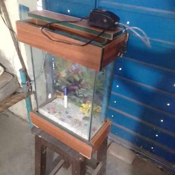 Fish Aquarium 0