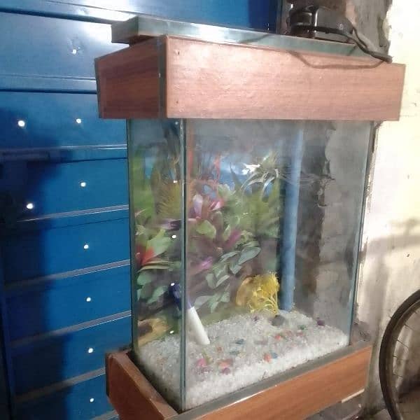 Fish Aquarium 1