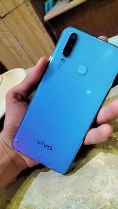 vivo