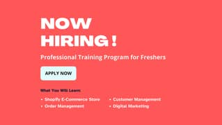 Professional Job Training Program for Freshers