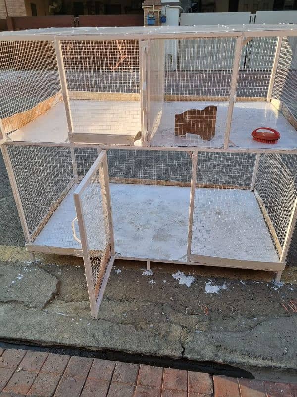 Hen Cage 1