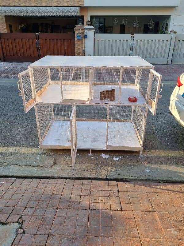 Hen Cage 3