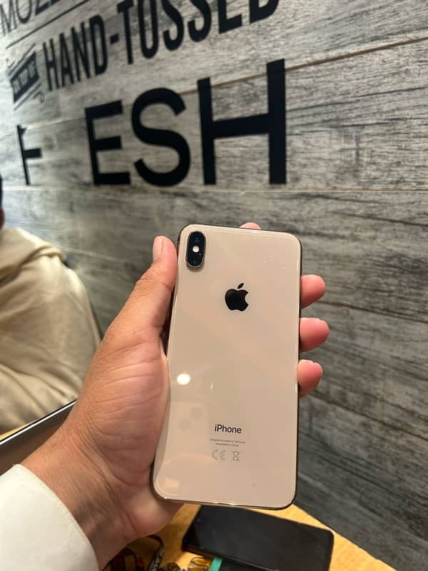 xs max pta aproved 256 1