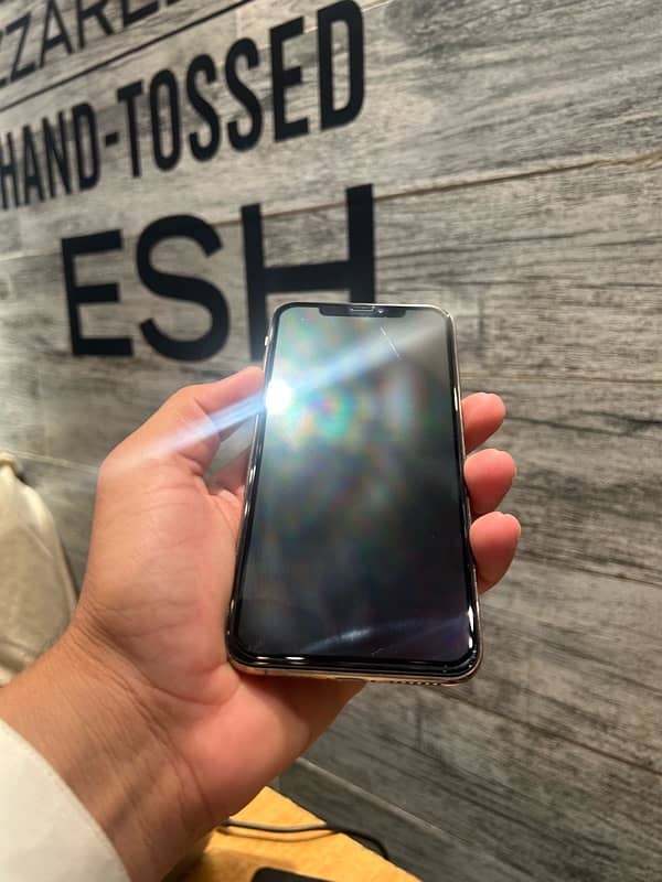 xs max pta aproved 256 5