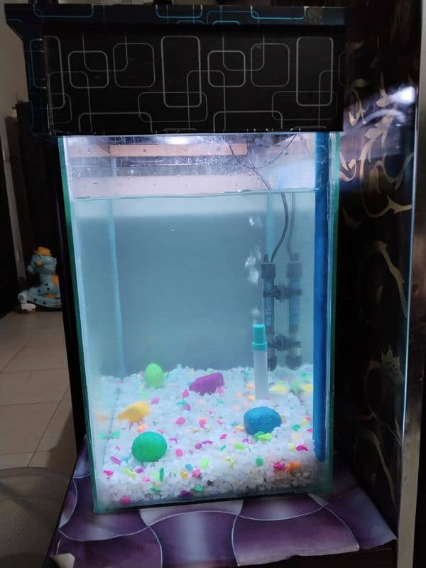 Fish Aquirium with 11 fishes, Heater, imported feed, Gravel, Net , 1