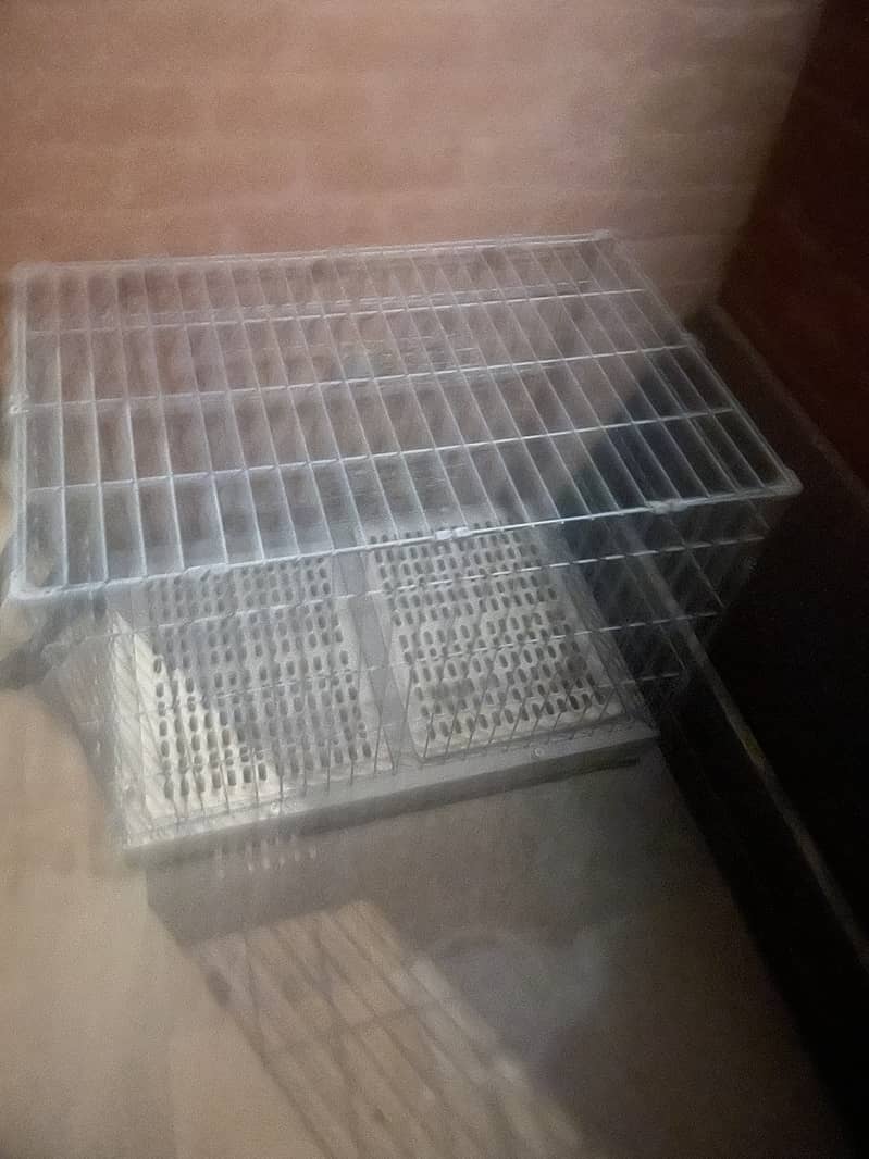 Dog crate 1