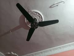 Fan available on ha