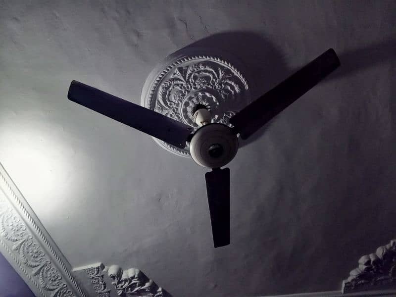 Fan available on ha 1