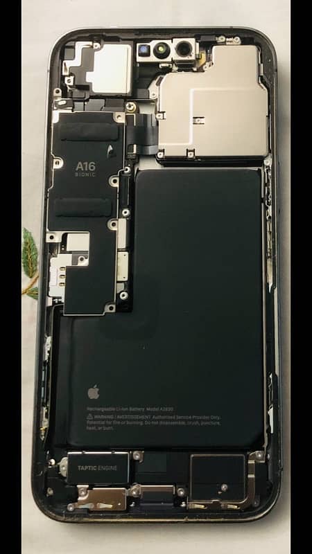 iphone 14 Pro max Body 1