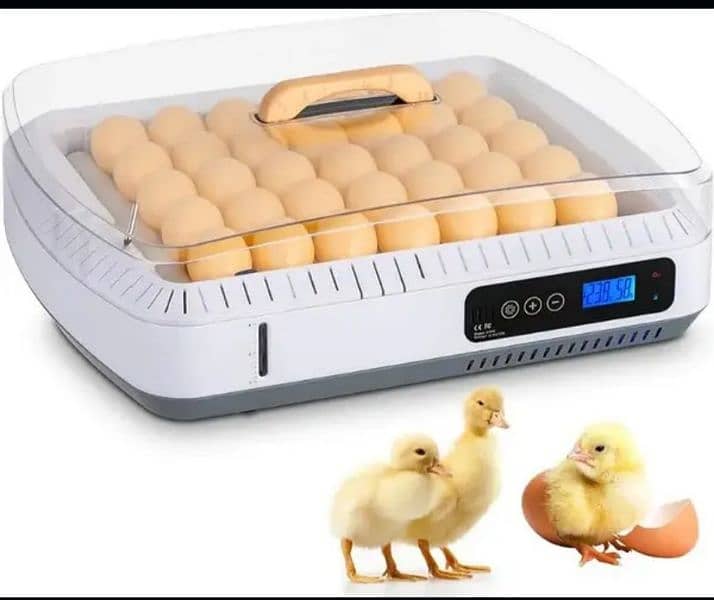 HDD Wongge 36 Eegs Incubator+Broader Fully Automatic Auto Humidity 3