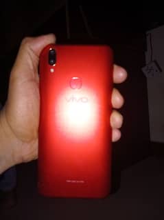 vivo