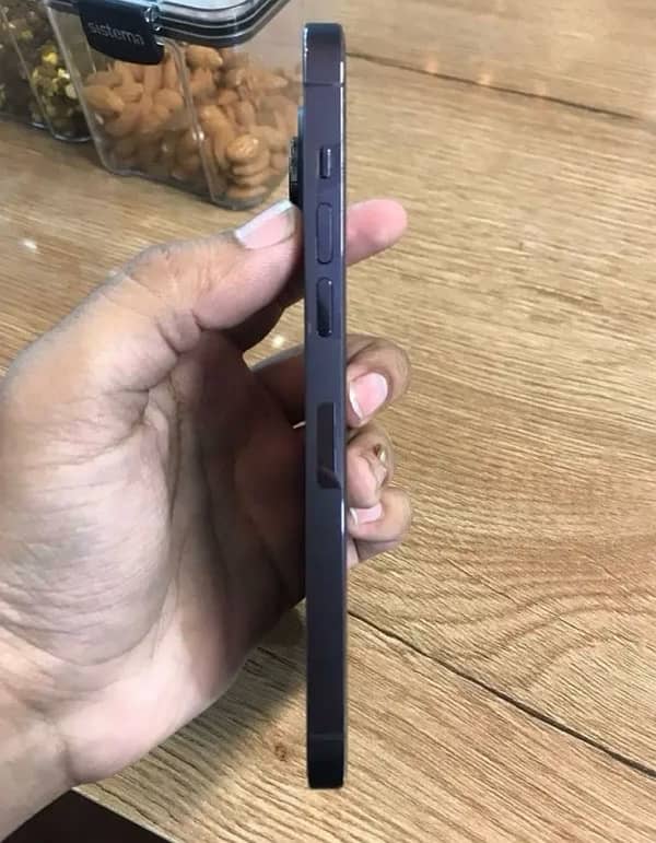 iPhone 14 Pro Max pta 3