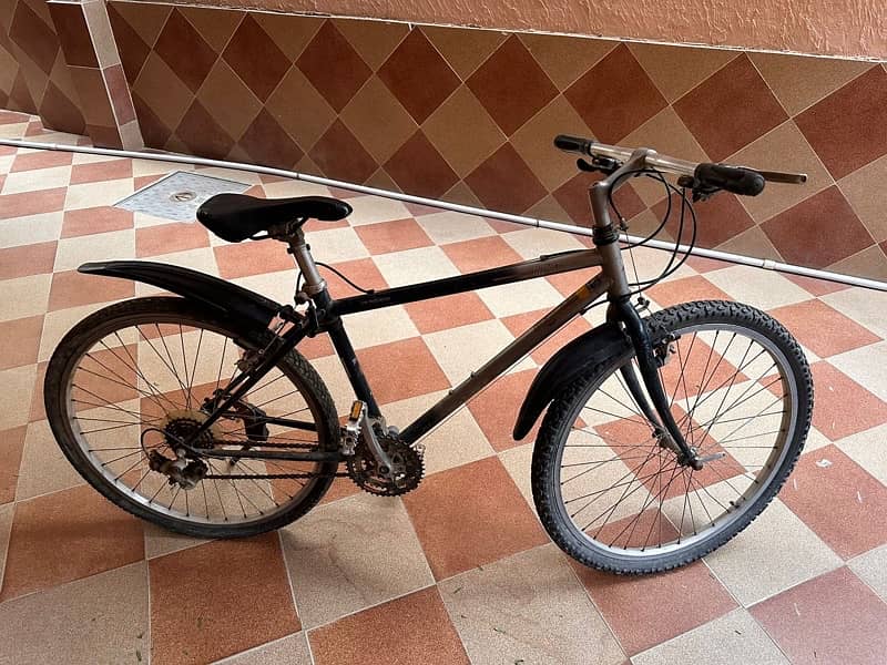 hybrid bikes 1