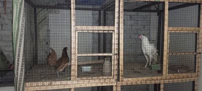 Wooden Cage | Pinjra for birds