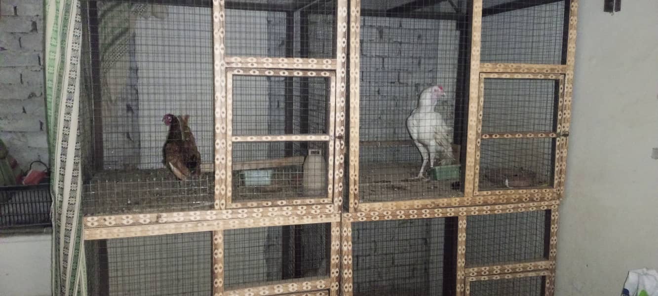 Wooden Cage | Pinjra for birds | Cage for birds 2