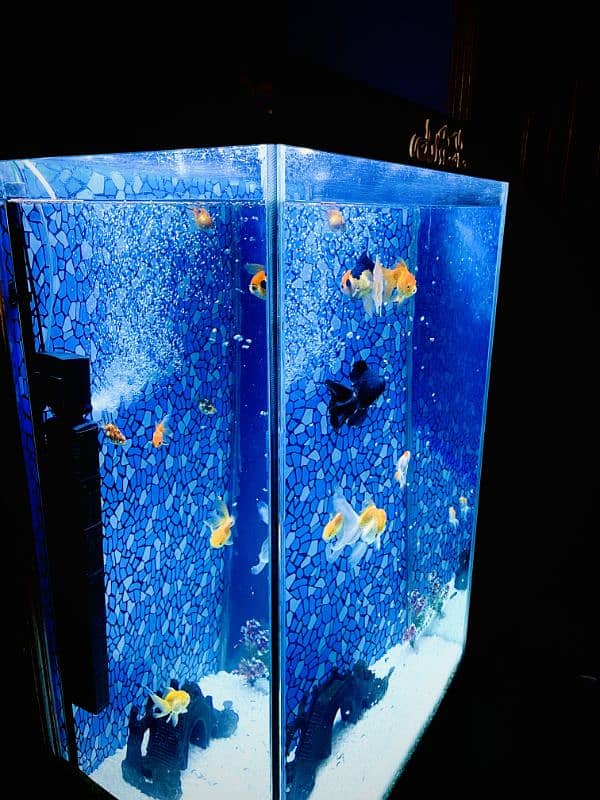 Aquarium Tower Style complete setup for sale 0