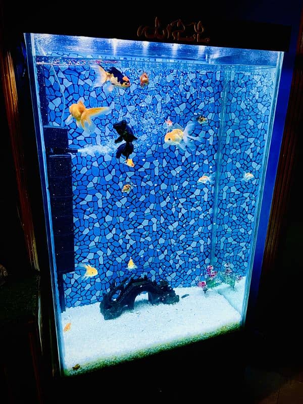 Aquarium Tower Style complete setup for sale 1