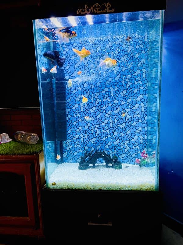 Aquarium Tower Style complete setup for sale 2