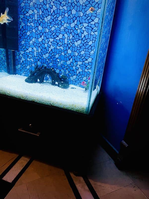 Aquarium Tower Style complete setup for sale 5