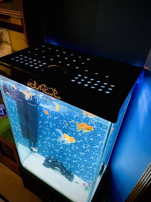 Aquarium Tower Style complete setup for sale 8