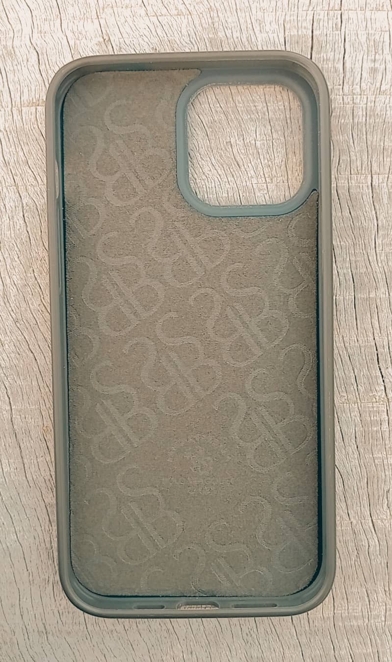 iPhone 13 Pro Max back cover 1