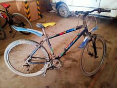 Cycle For Sale