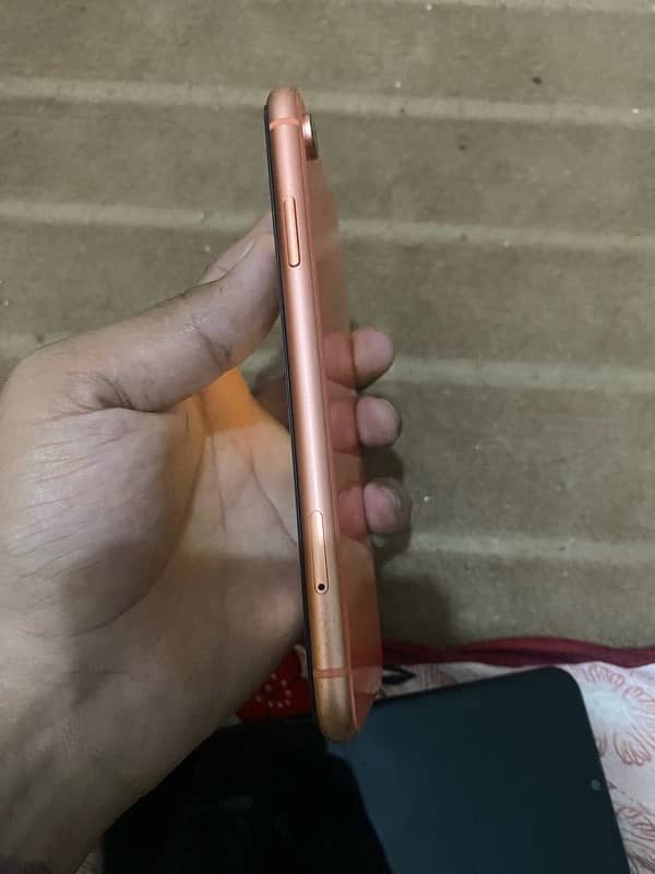 IPHONE XR NON PTA 2