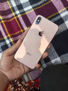 iPhoneX