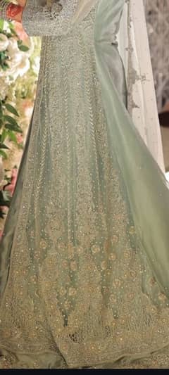 walima maxi