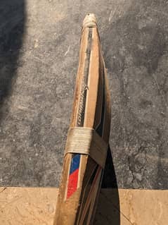 Hard ball bat kashmiri willow good quality bat