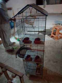 itisa love bird cage