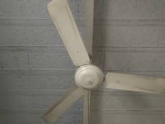 7 fan for sale