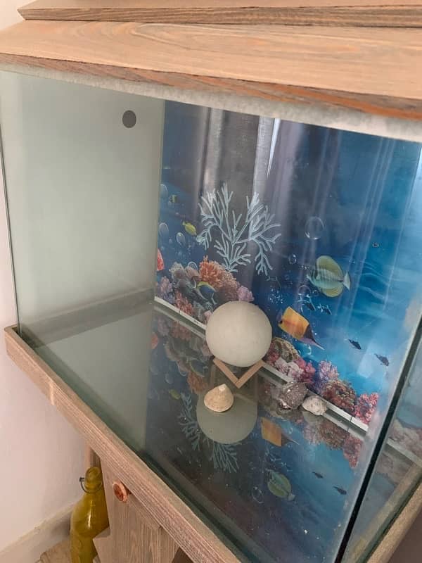 fish Aquarium available condition 10/10 4