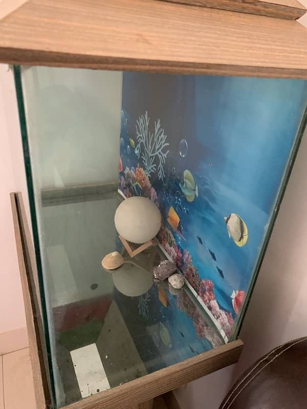 fish Aquarium available condition 10/10 5