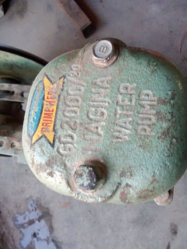 Donkey pump nagina in good condition 3