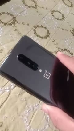 oneplus 8 12/256 global dualsim