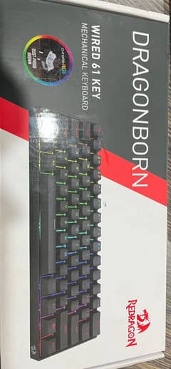 Dragonborn Wired 61 key