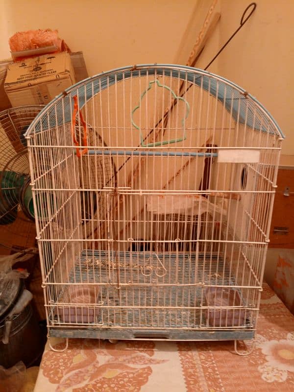 birds cage 0