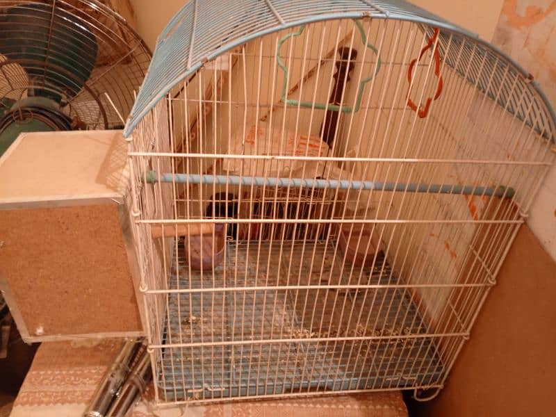 birds cage 2