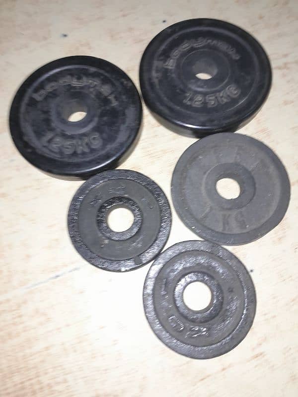 dumble rubber plates 1