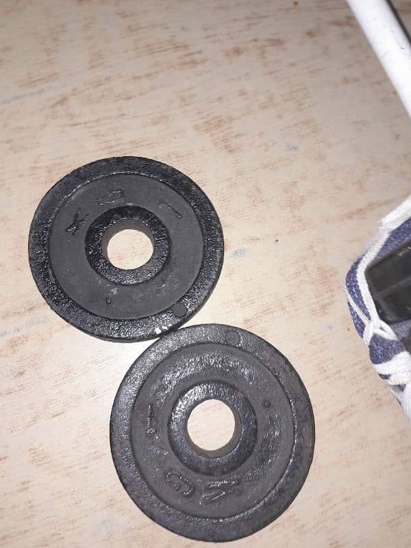 dumble rubber plates 3