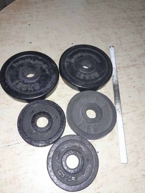 dumble rubber plates 4