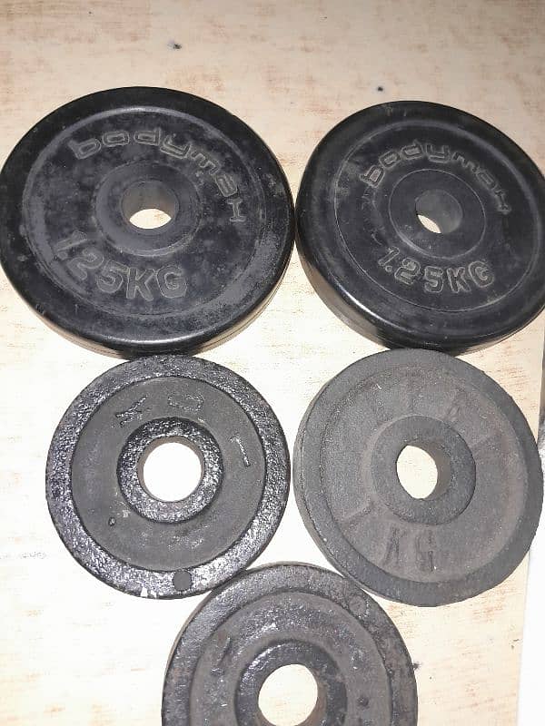 dumble rubber plates 5