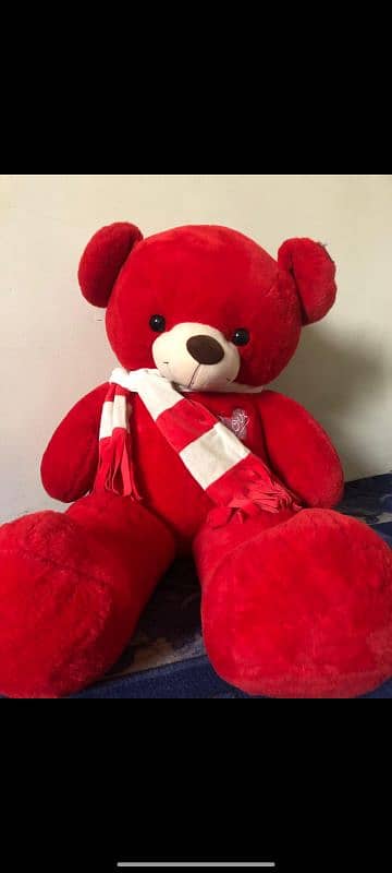 red teddy for your loved ones 2