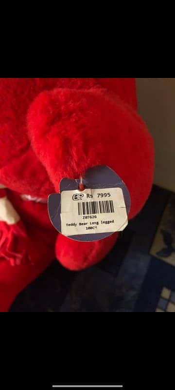 red teddy for your loved ones 3