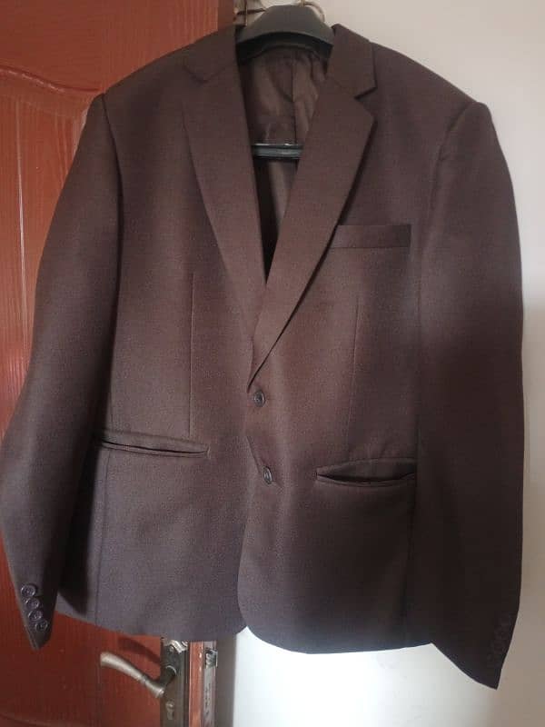 brown colour Coat 1