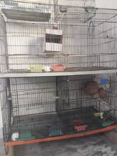 2 folding cages with birds 1 pair of love birds and 3 pices budgries